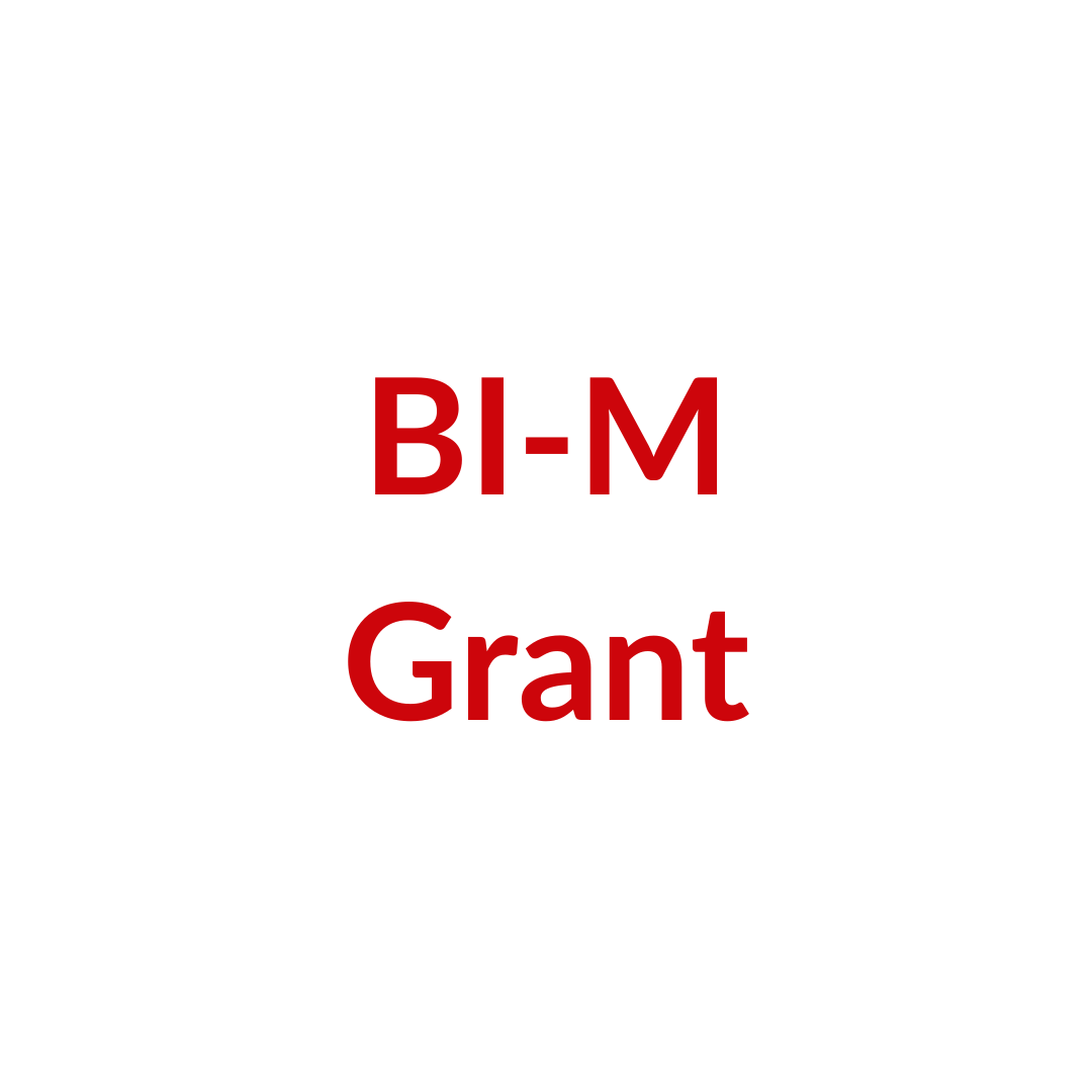 BCI4ALL-BIM-2