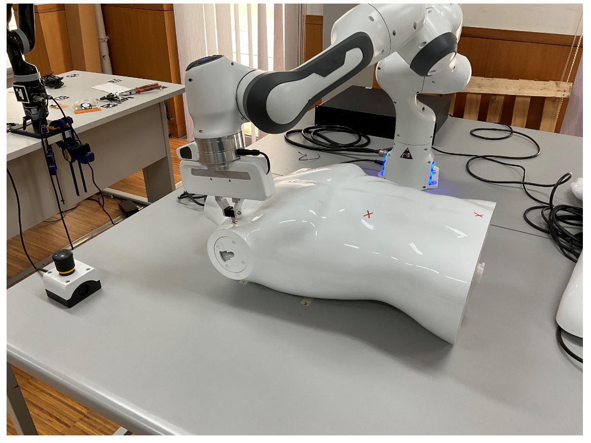 PrintONorgans - Engineering Bioinks and Processes for Direct Printing on Organs